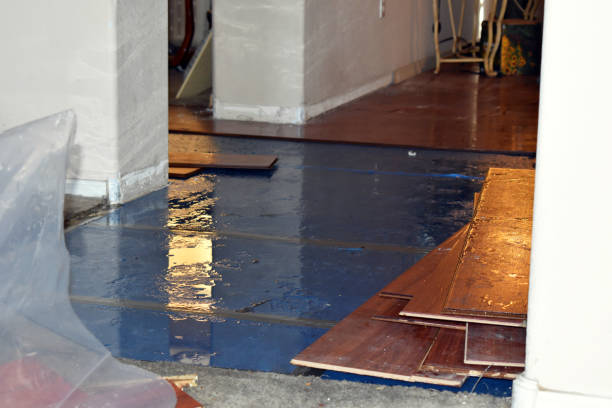 Professional Water Damage technician working in Cresson, TX